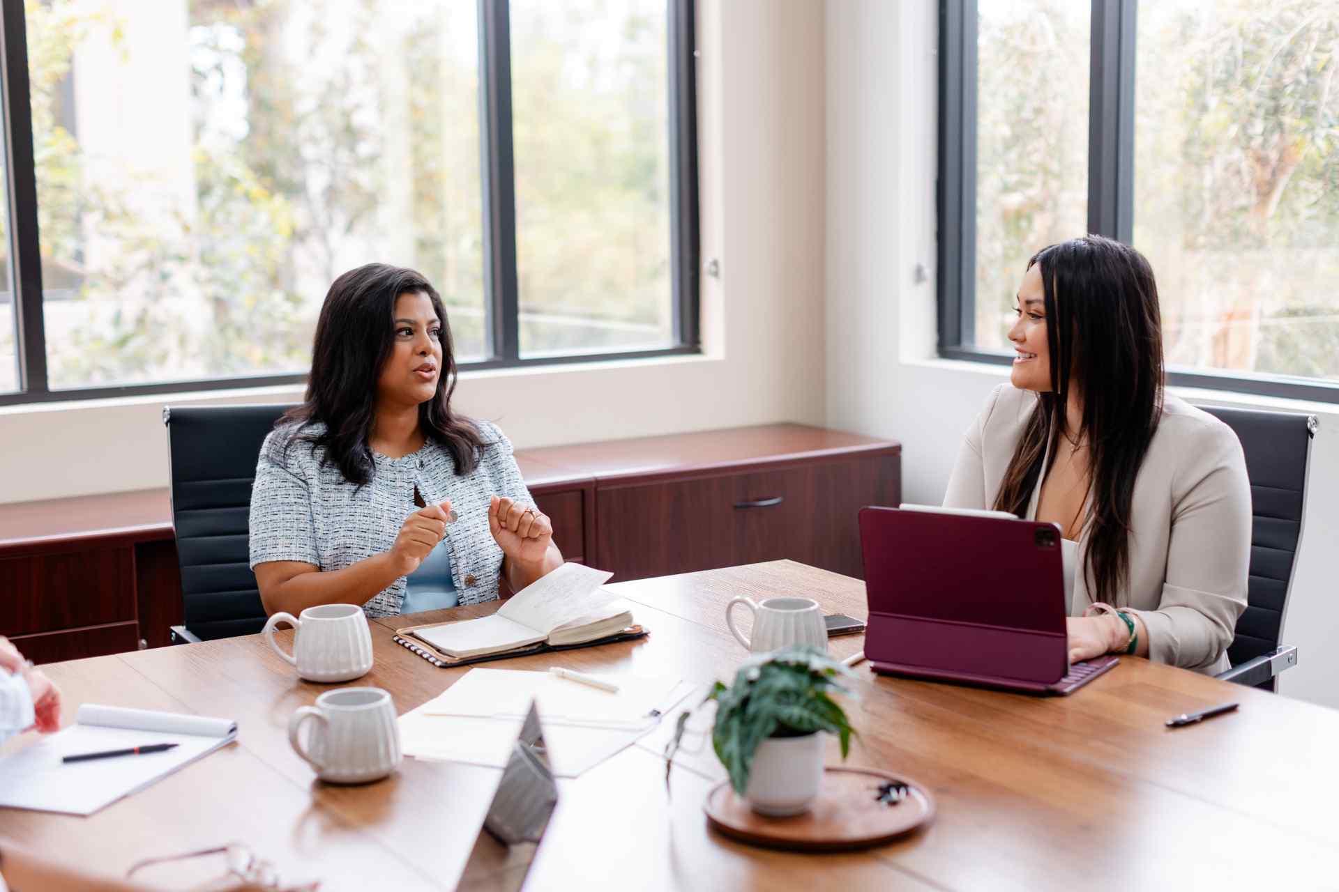 Therapist Counselling Office